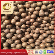 Hot Sale and Best Quality Macadamia Nuts